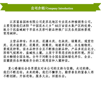 木槿樹(shù)苗 多功能綠化植物的選擇與培育指南